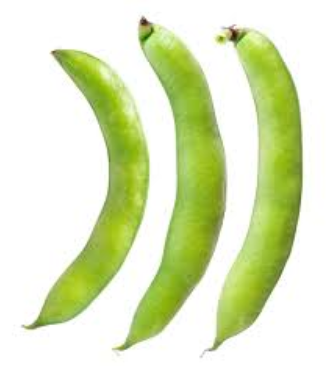 FRESH BROAD BEANS IN POD